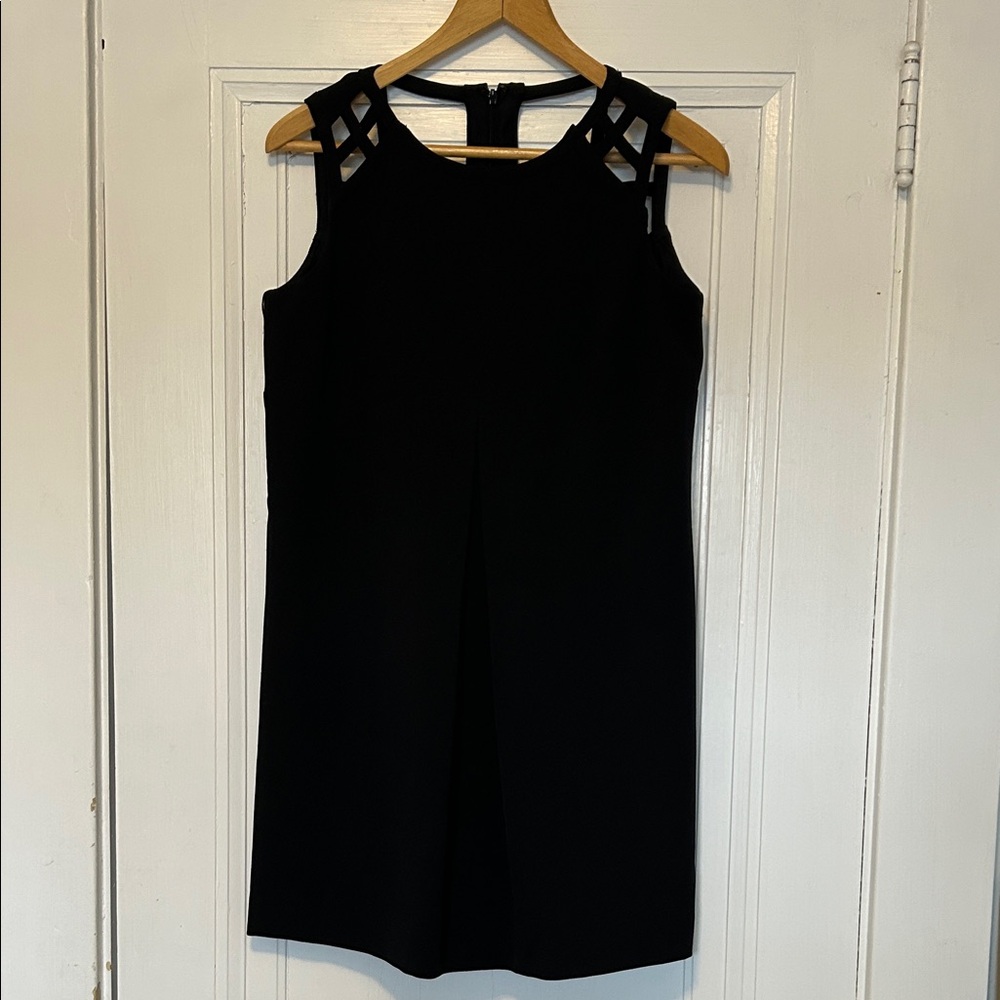 Adrianna Papell Black Sleeveless Mini Dress